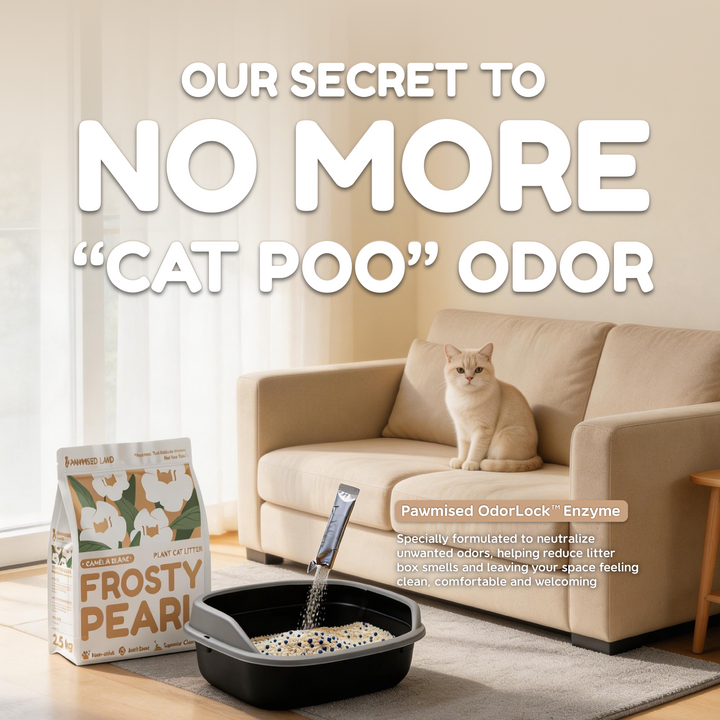 Frosty Pearl - Plant Cat Litter - Camèlia Blanc Scent