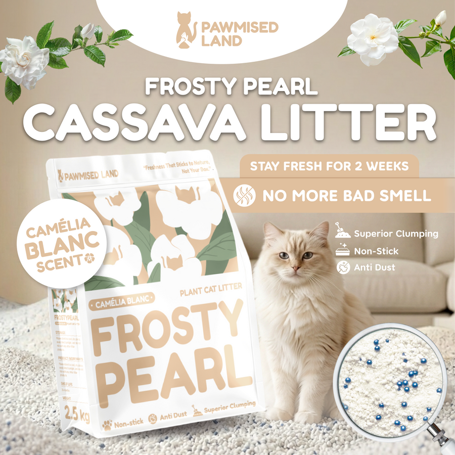 Frosty Pearl - Plant Cat Litter - Camèlia Blanc Scent