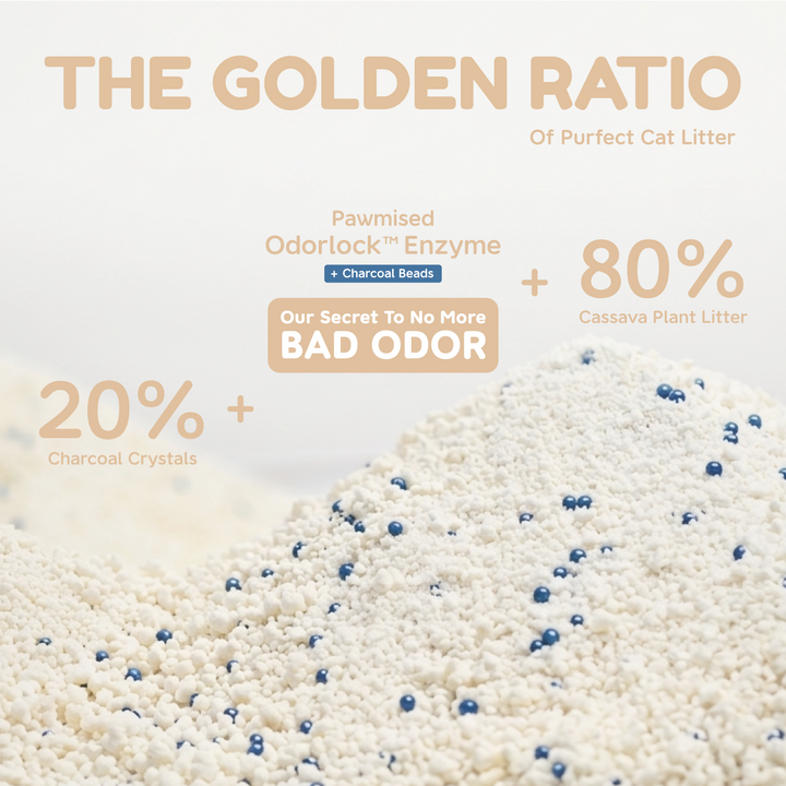 Frosty Pearl - Plant Cat Litter - Camèlia Blanc Scent