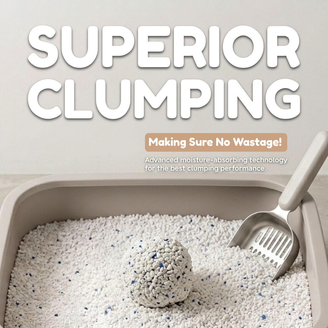 Frosty Pearl - Plant Cat Litter - Camèlia Blanc Scent