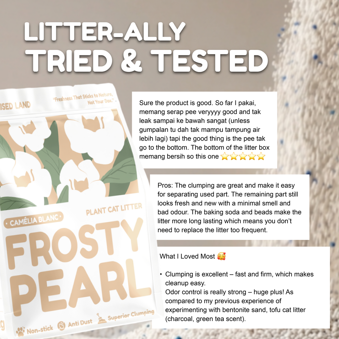 Frosty Pearl - Plant Cat Litter - Camèlia Blanc Scent