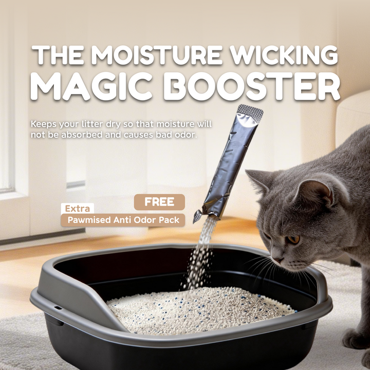 Frosty Pearl - Plant Cat Litter - Camèlia Blanc Scent