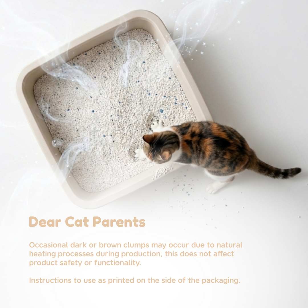 Frosty Pearl - Plant Cat Litter - Camèlia Blanc Scent