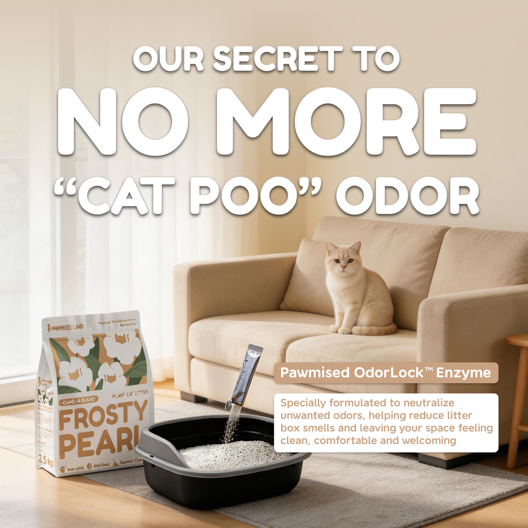 Frosty Pearl - Plant Cat Litter - Camèlia Blanc Scent