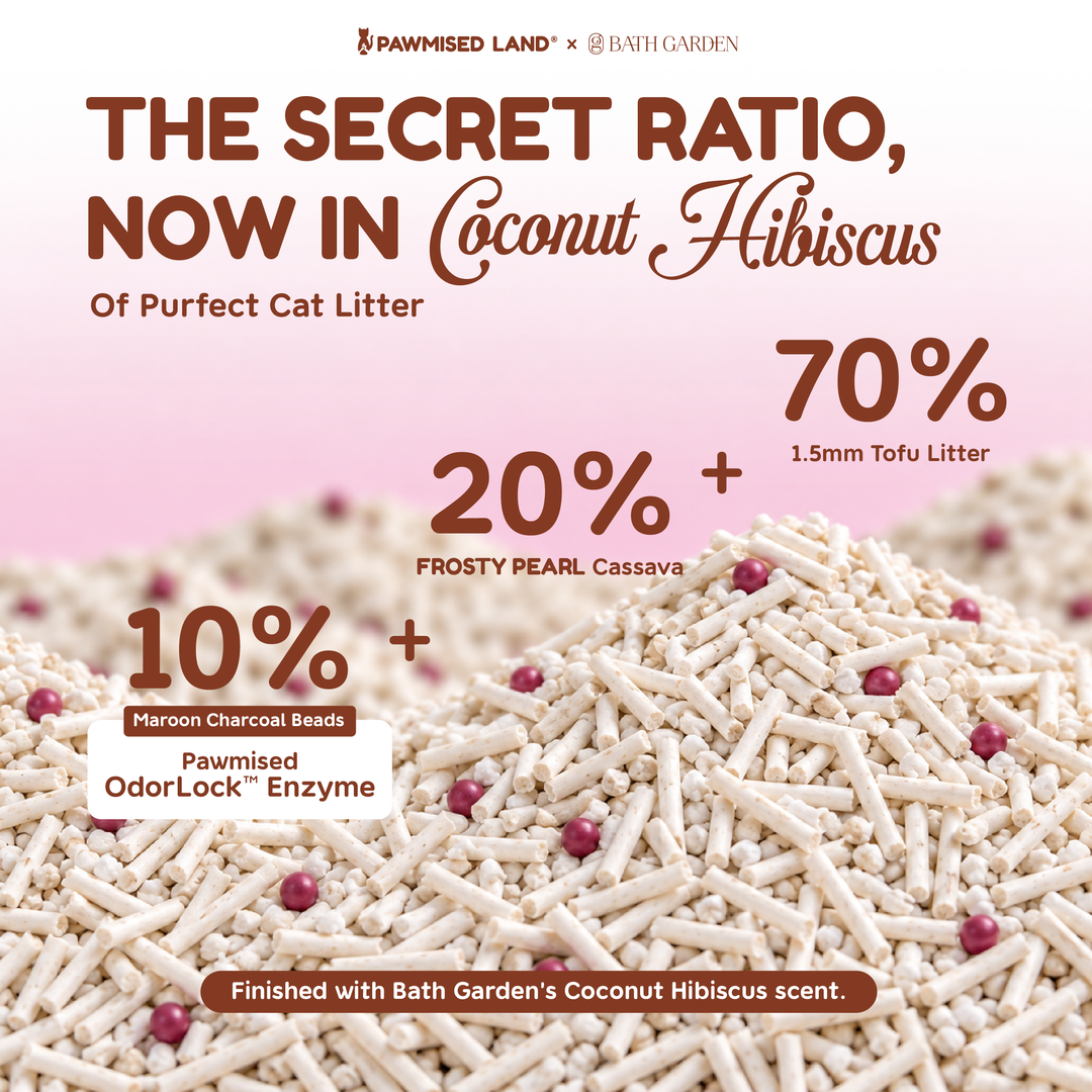 Frosty Pearl Coconut Hibiscus - Mixed Cassava Tofu Litter