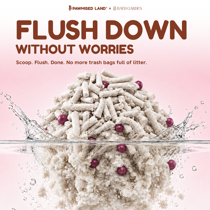 Frosty Pearl Coconut Hibiscus - Mixed Cassava Tofu Litter