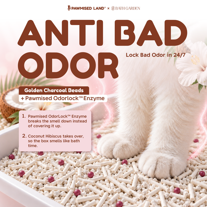 Frosty Pearl Coconut Hibiscus - Mixed Cassava Tofu Litter
