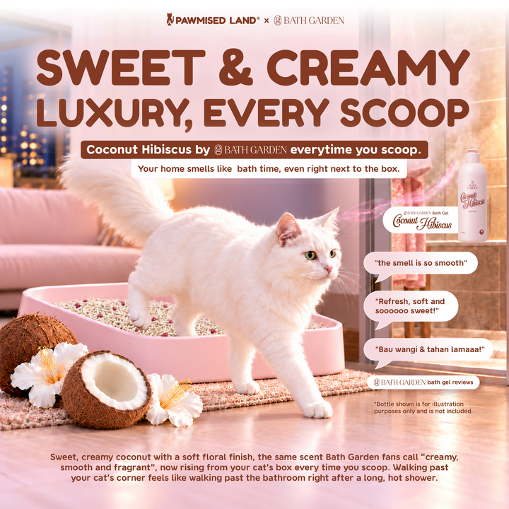 Frosty Pearl Coconut Hibiscus - Mixed Cassava Tofu Litter