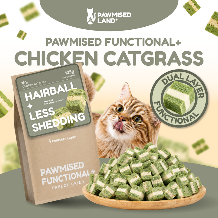 Pawmised Functional + Chicken Catgrass