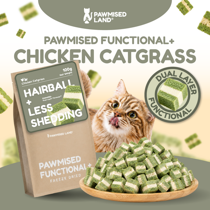 Pawmised Functional+ Chicken Catgrass