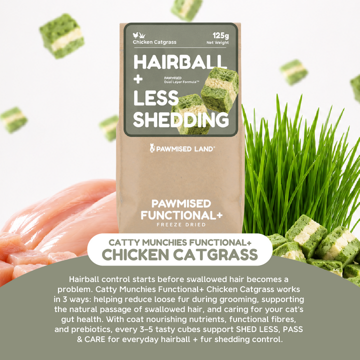 Pawmised Functional + Chicken Catgrass