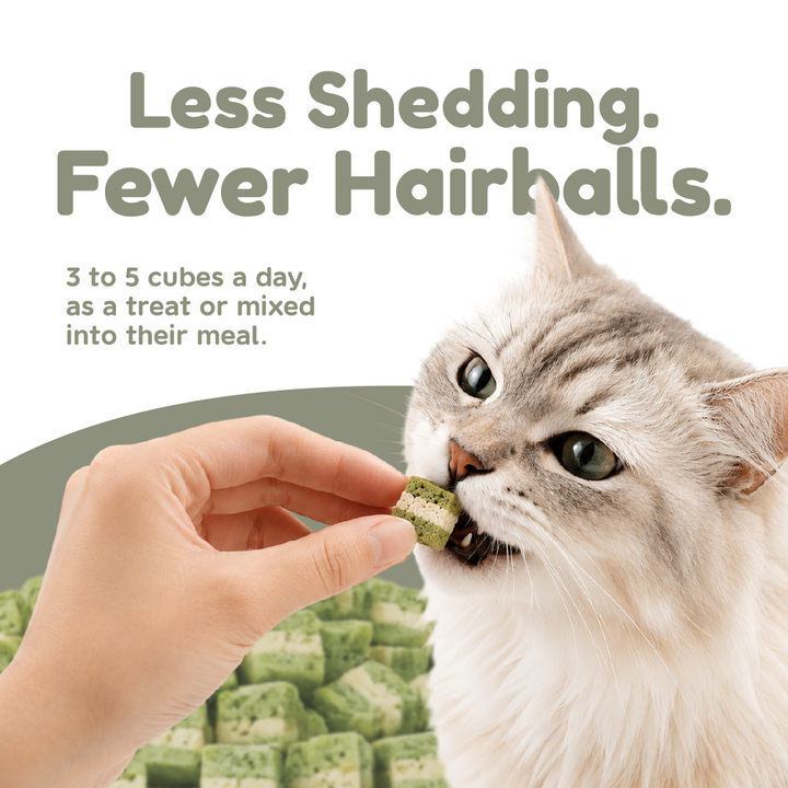 Pawmised Functional + Chicken Catgrass