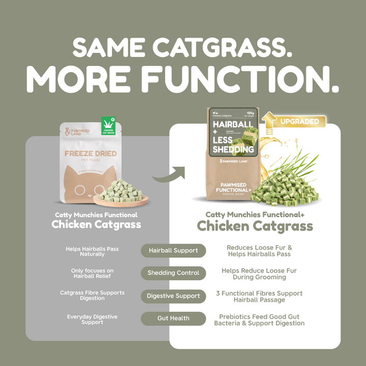 Pawmised Functional + Chicken Catgrass