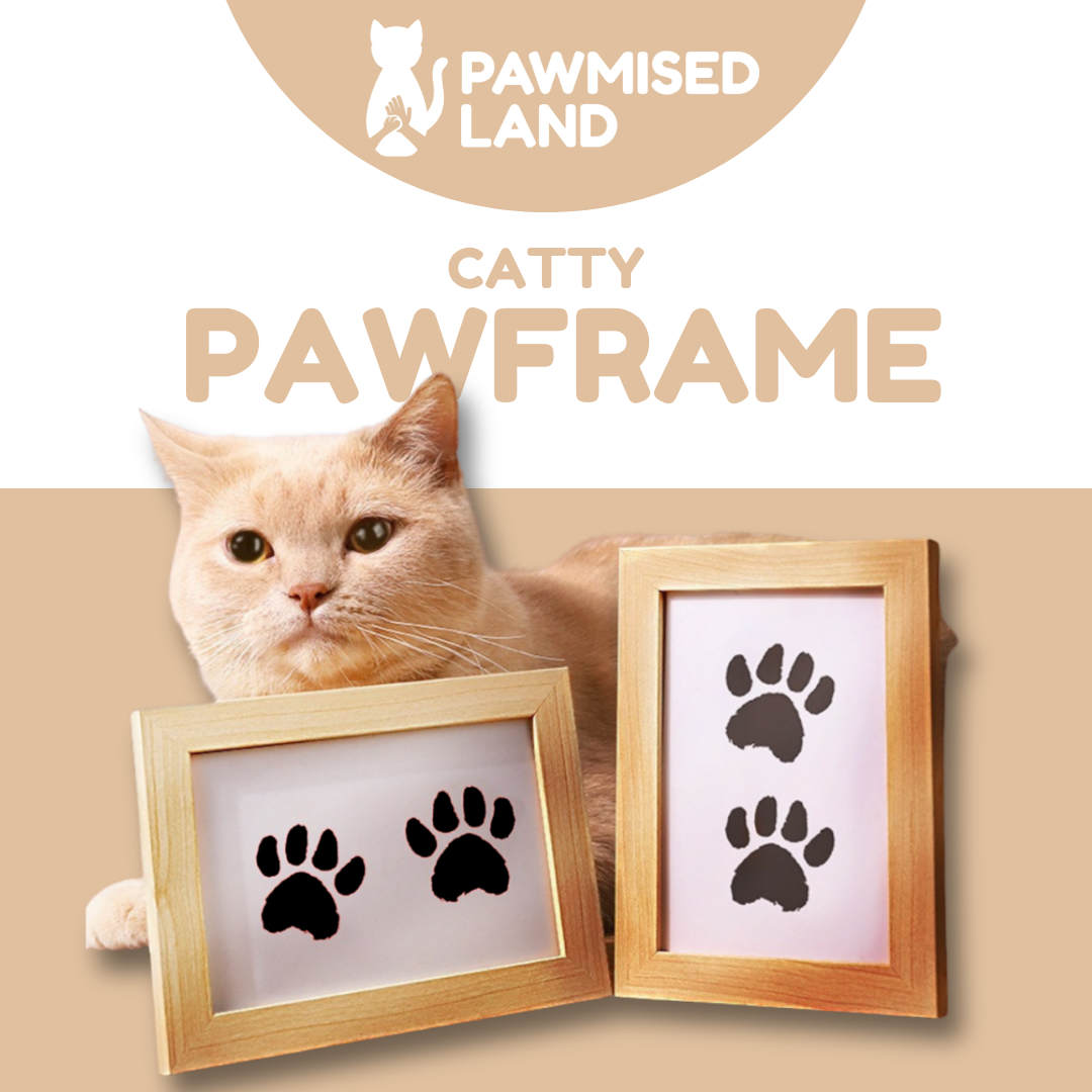 Catty PawFrame