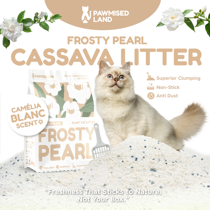 [READY STOCK] Frosty Pearl - Plant Cat Litter - Camèlia Blanc Scent