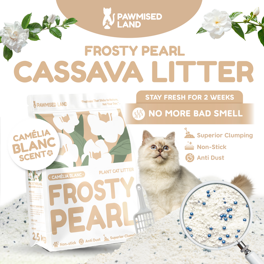 Frosty Pearl - Plant Cat Litter - Camèlia Blanc Scent