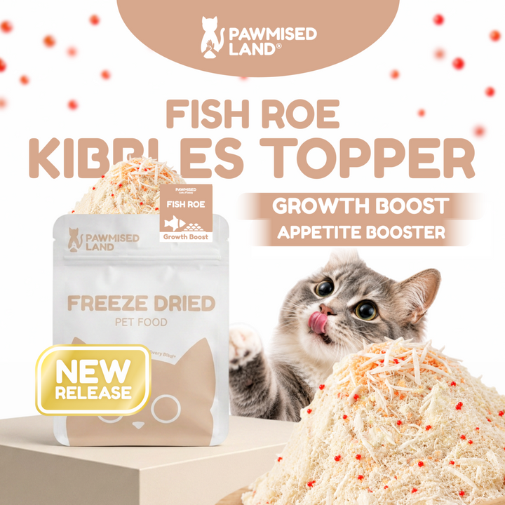 Catty Flossy - Functional Freeze-Dried Kibbles Topper