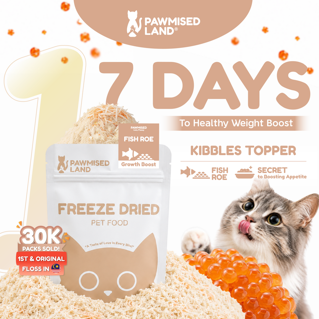 Catty Flossy - Functional Freeze-Dried Kibbles Topper