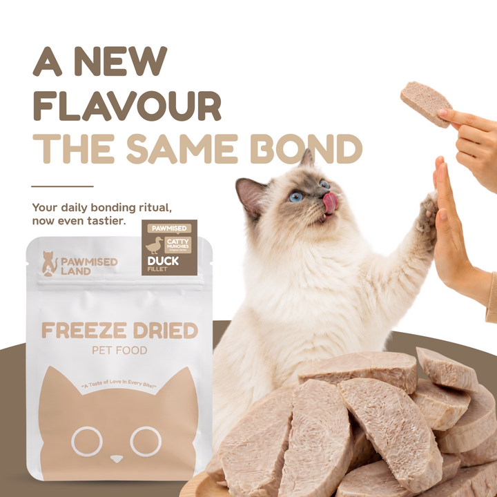 Catty Munchies Original Series - Duck Fillet