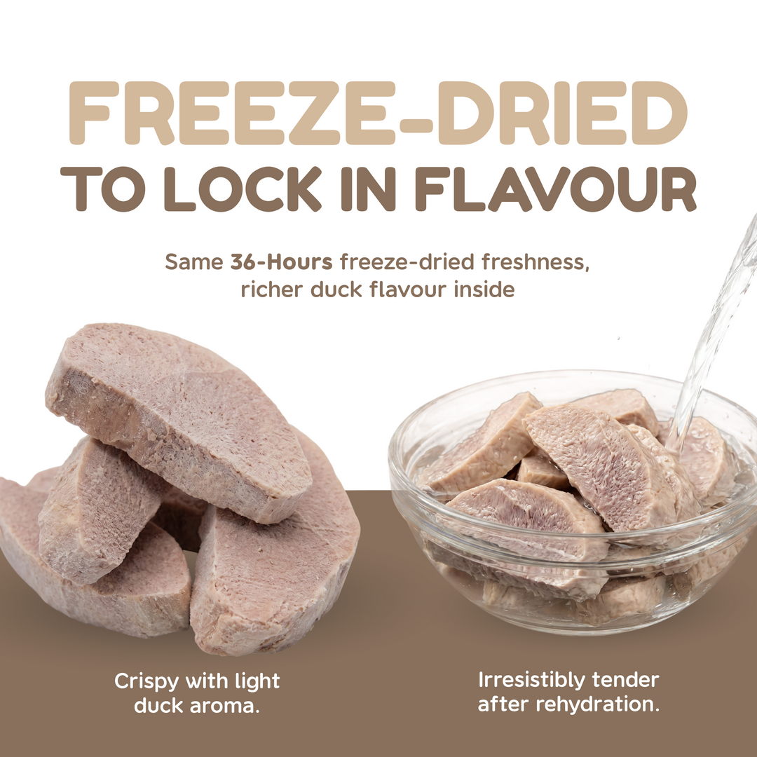 Catty Munchies Original Series - Duck Fillet