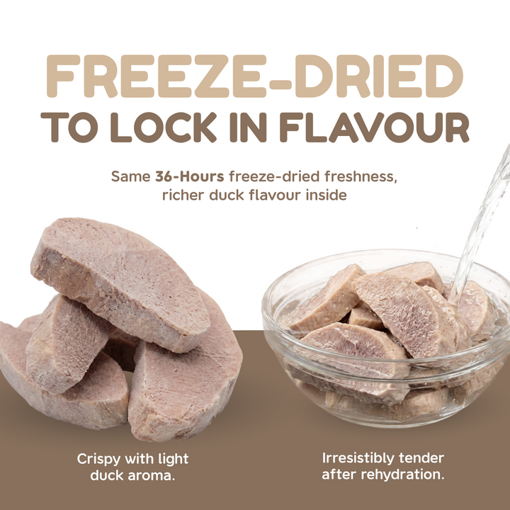Catty Munchies Original Series - Duck Fillet