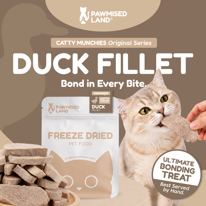Catty Munchies Original Series - Duck Fillet