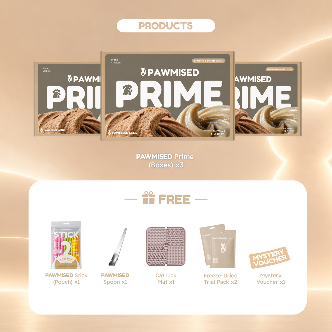 Pawmised Land x Ah Yang Exclusive 5th Anniversary Bundle - Pawmised Prime Canned Food x3