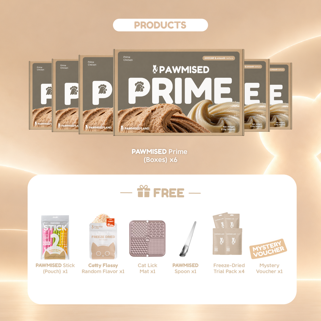 Pawmised Land x Ah Yang Exclusive 5th Anniversary Bundle - Pawmised Prime Canned Food x6
