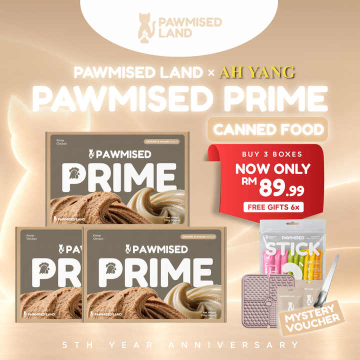 Pawmised Land x Ah Yang Exclusive 5th Anniversary Bundle - Pawmised Prime Canned Food x3