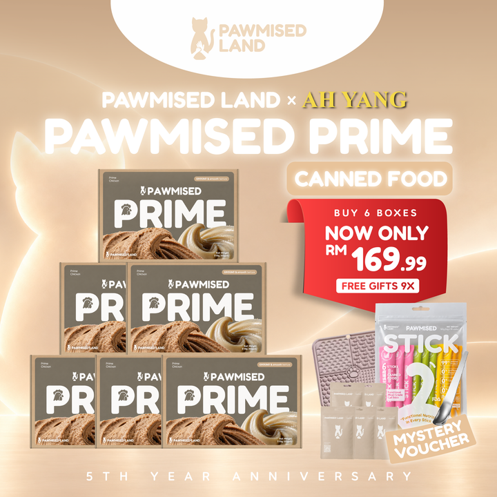 Pawmised Land x Ah Yang Exclusive 5th Anniversary Bundle - Pawmised Prime Canned Food x6