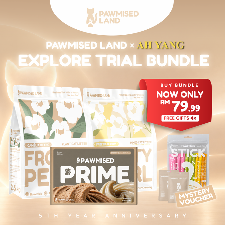 Pawmised Land x Ah Yang Exclusive 5th Anniversary Bundle - Explore Trial Bundle