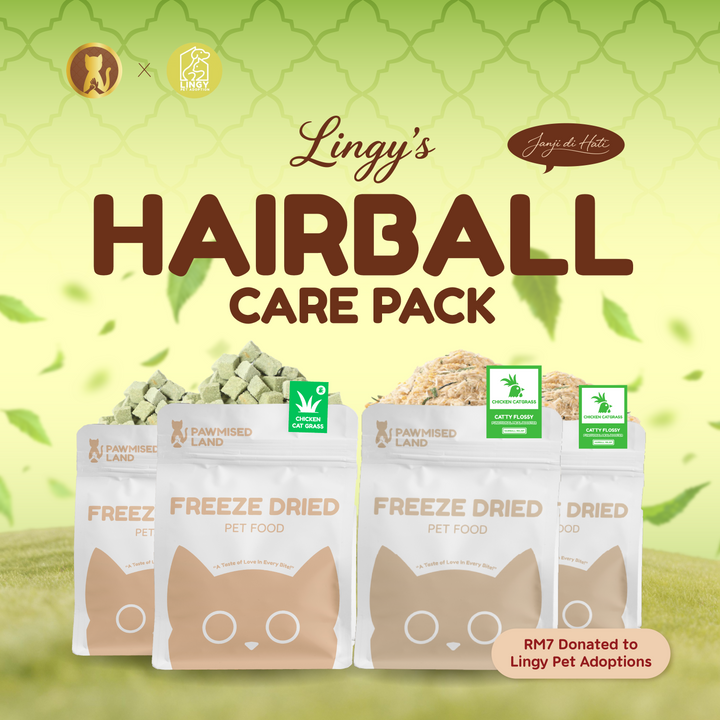 Lingy's Hairball Care Pack