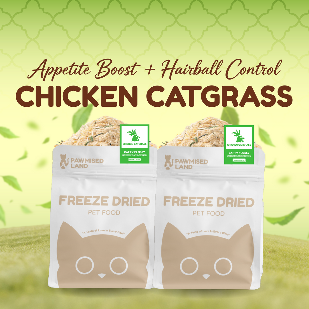 Lingy's Hairball Care Pack