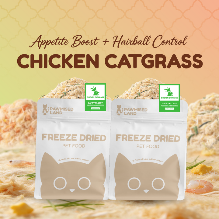 The Pawmised Flossy Bundle