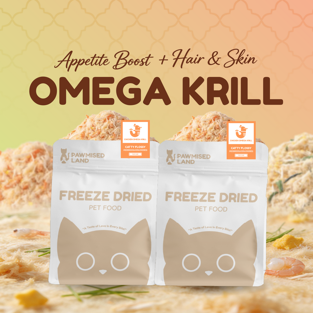 The Pawmised Flossy Bundle