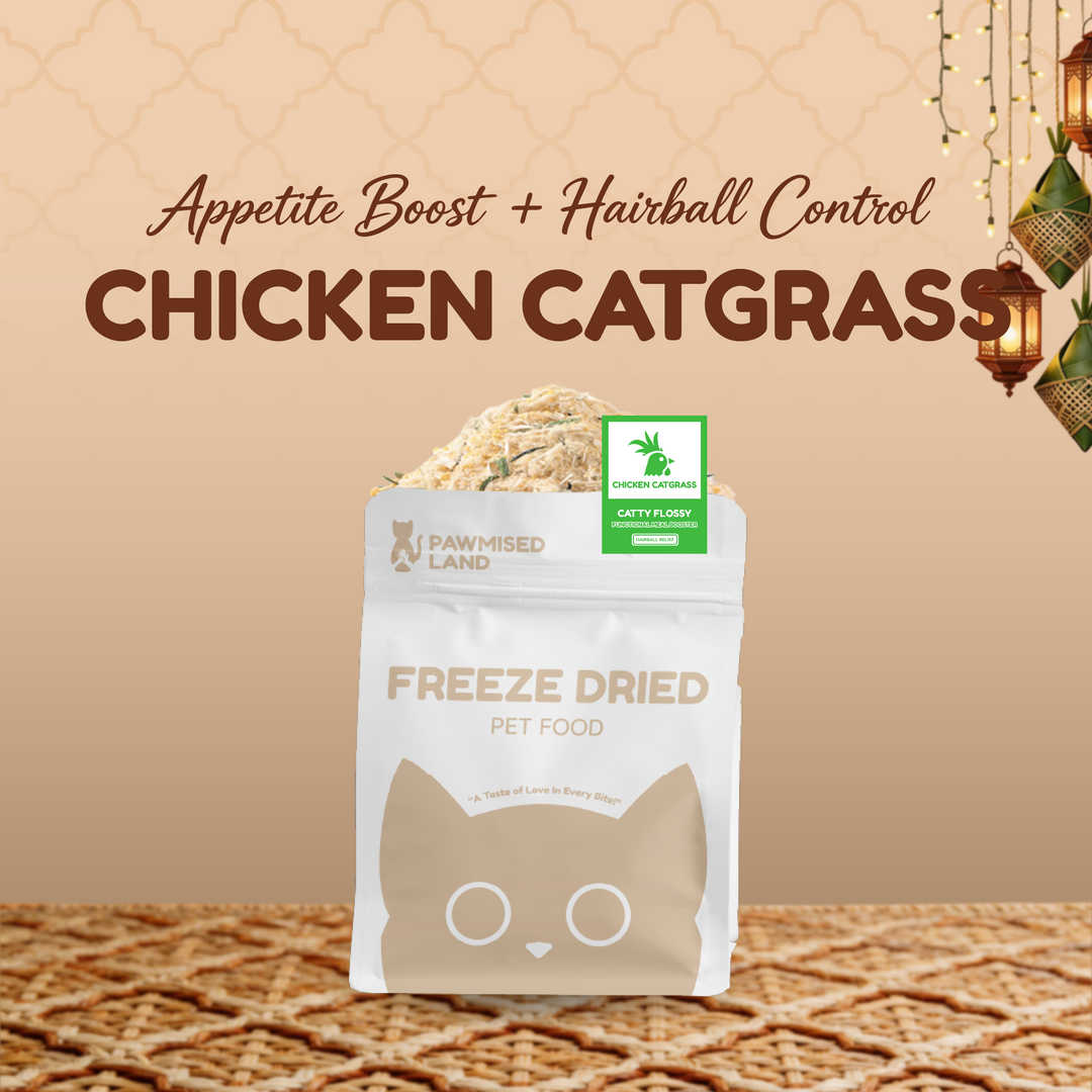 The "Second Chance" Mega-Bundle