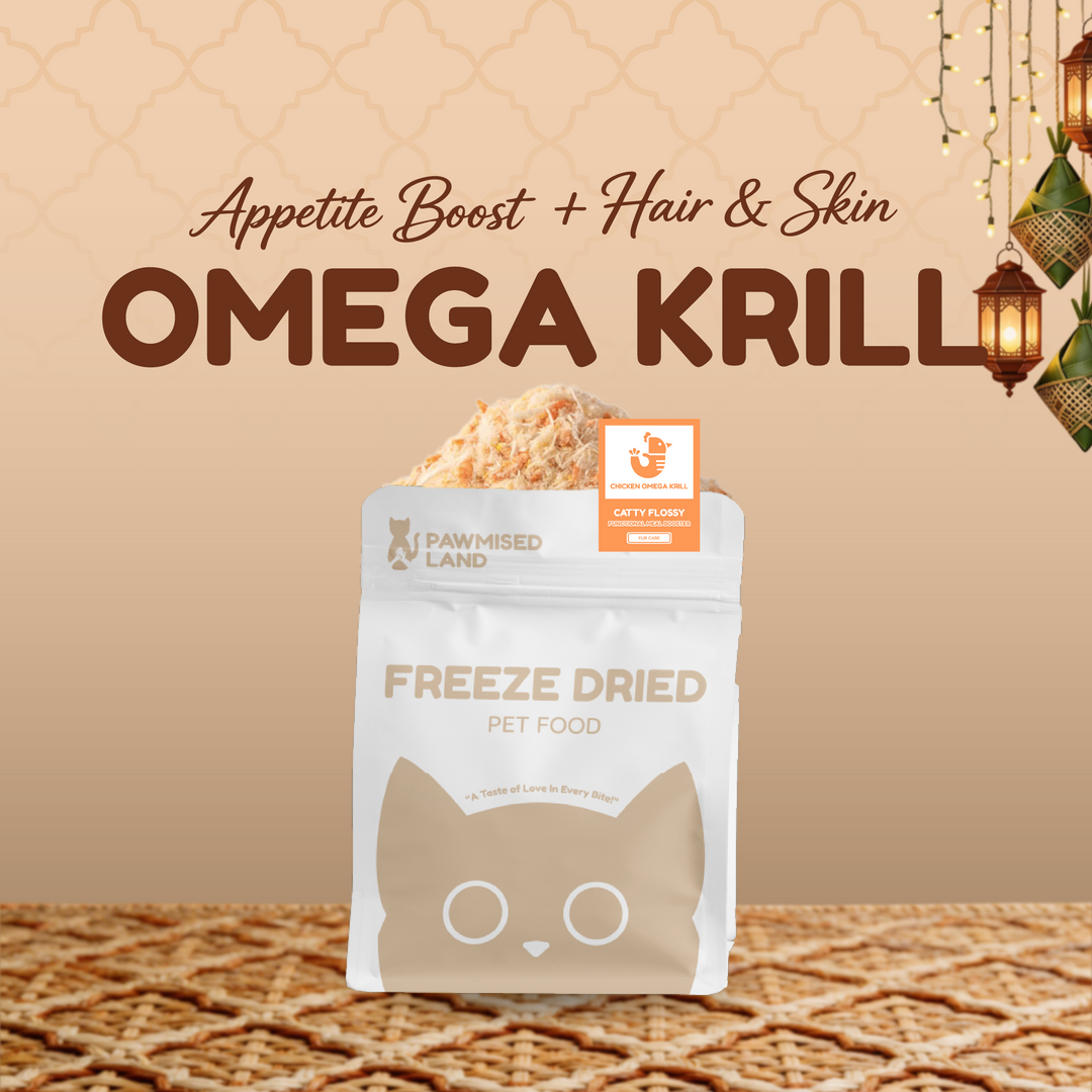 The "Second Chance" Mega-Bundle