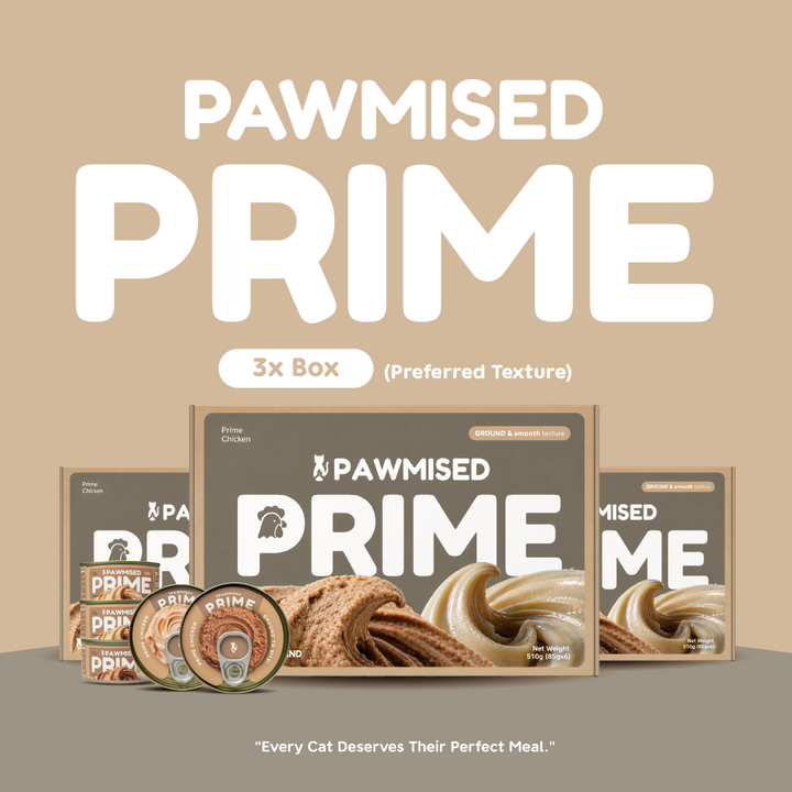 [Limited To Only 300 Sets] Pawmised Prime Clean Recipe Discovery Bundle