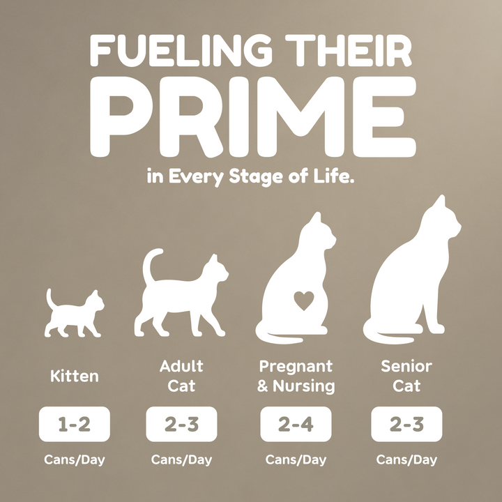 [Limited To Only 300 Sets] Pawmised Prime Clean Recipe Discovery Bundle