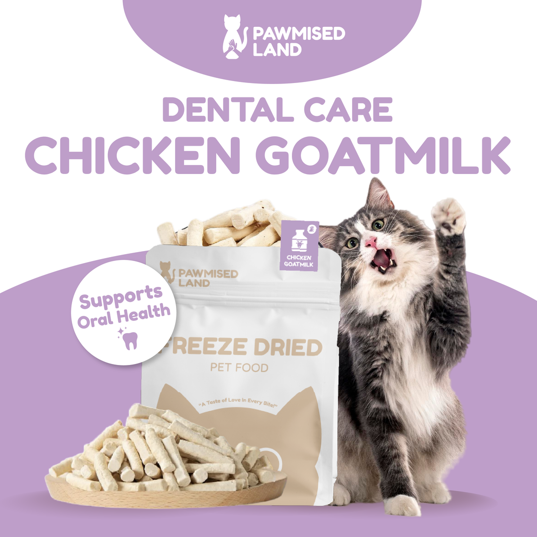 Catty Munchies - Functional Series