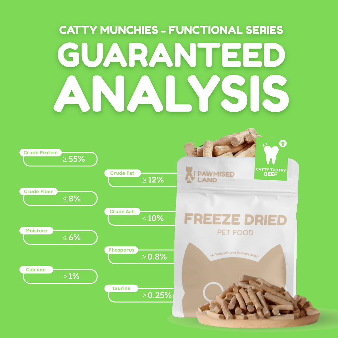 Catty Toothy - Dental Freeze Dried