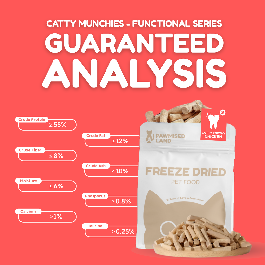 Catty Toothy - Dental Freeze Dried