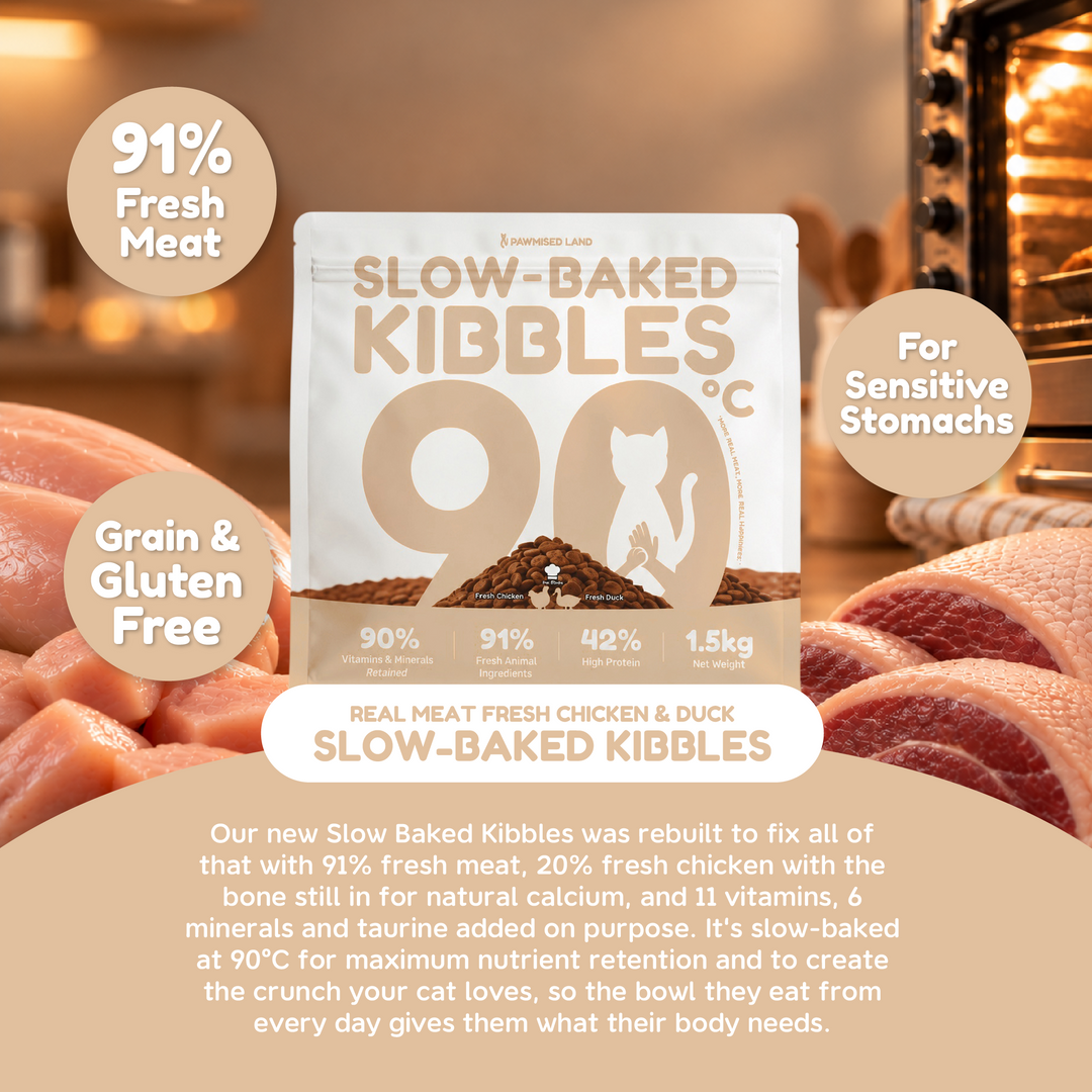 Slow Baked Kibbles - Classic Pack 1.5kg - Fresh Chicken & Duck Recipe
