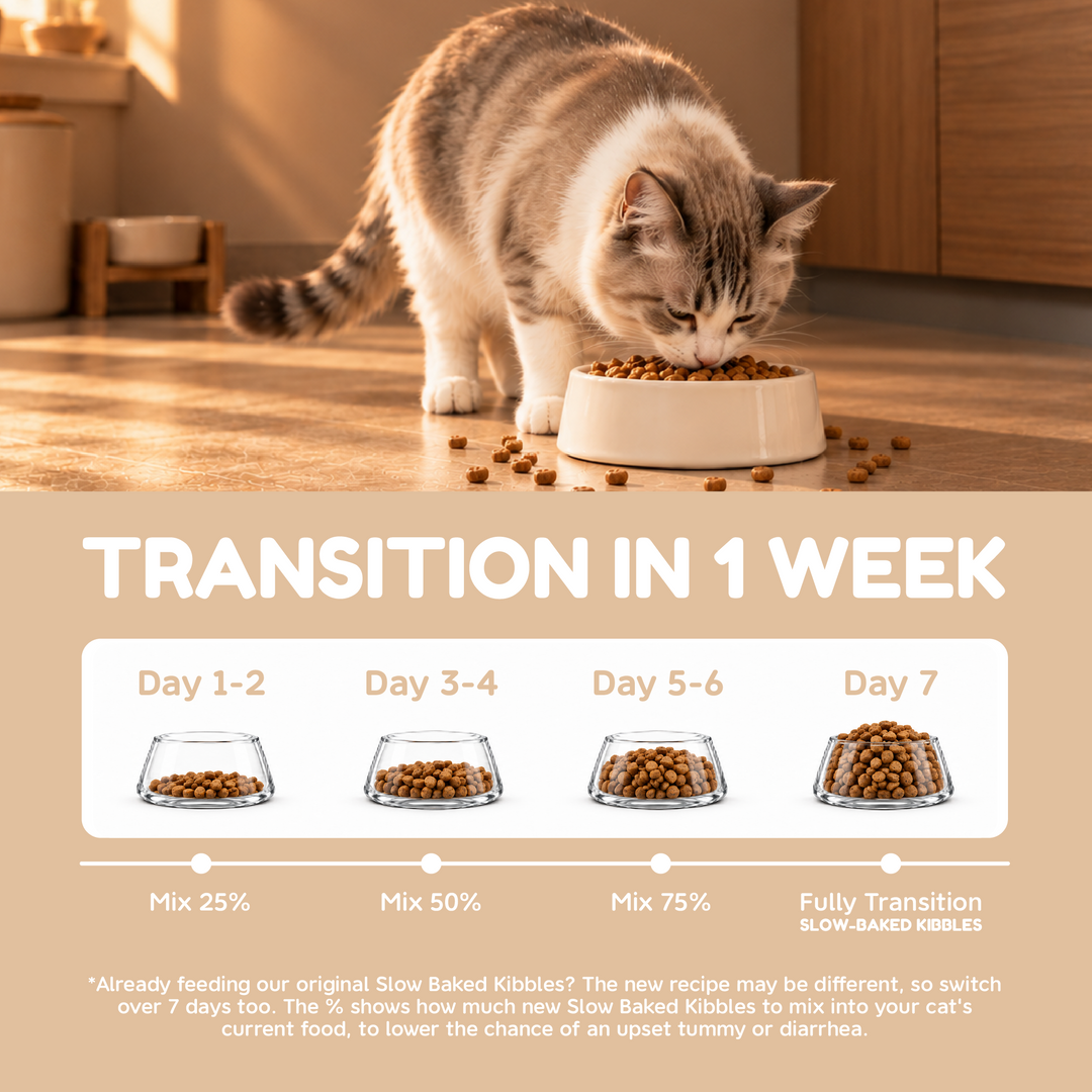 Slow Baked Kibbles - Classic Pack 1.5kg - Fresh Chicken & Duck Recipe
