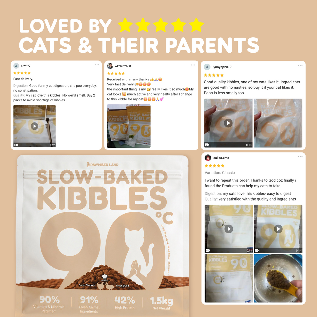 Slow Baked Kibbles - Classic Pack 1.5kg - Fresh Chicken & Duck Recipe