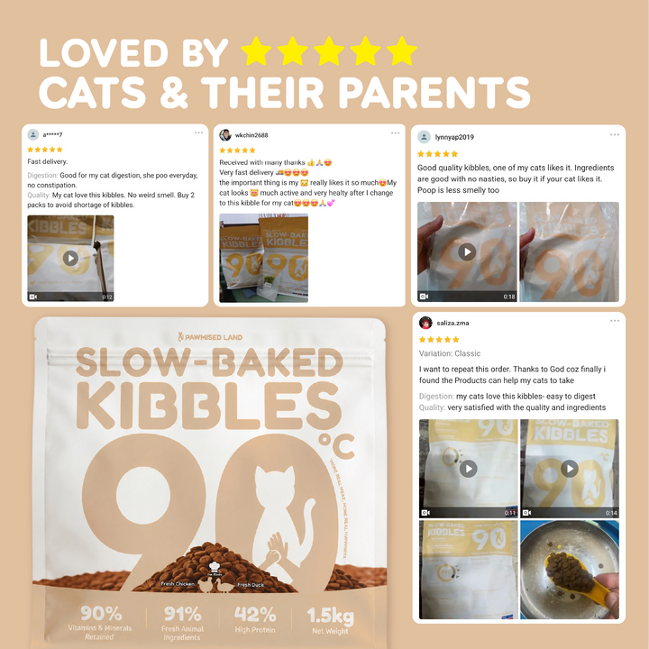 Slow Baked Kibbles - Classic Pack 1.5kg - Fresh Chicken & Duck Recipe