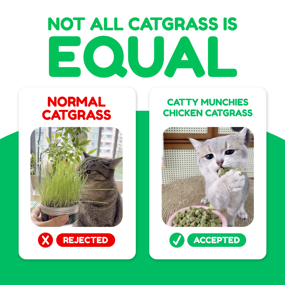 Pawmised Functional Trio Series