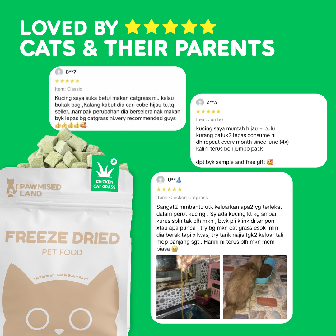 Catty Munchies - Functional Series