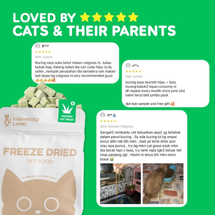 Catty Munchies - Functional Series