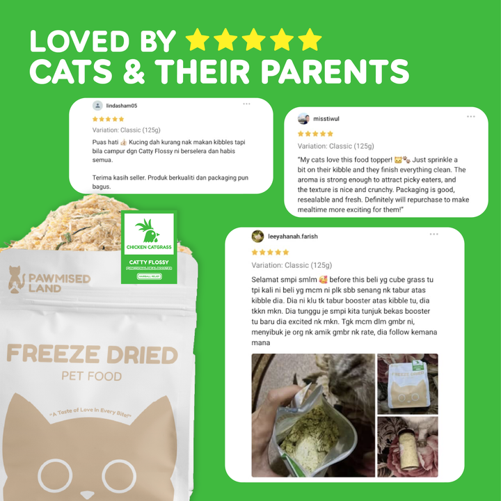 Catty Flossy - Functional Freeze-Dried Kibbles Topper